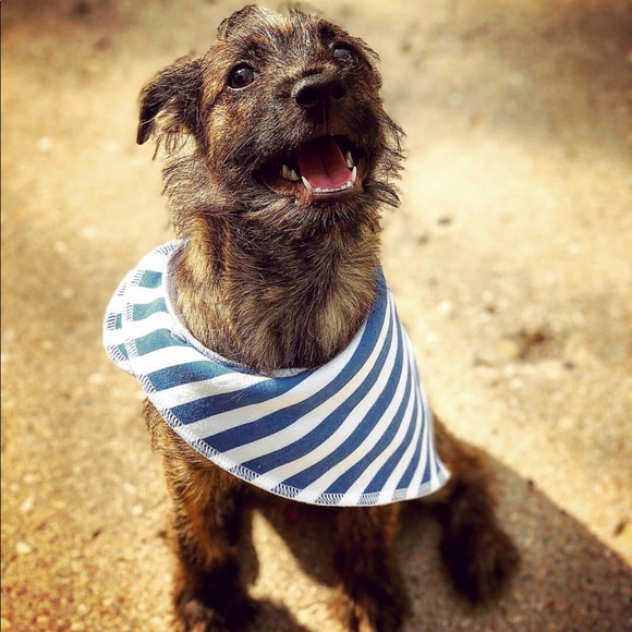 Meet your Posher, Rachel - Picture 1 of 1